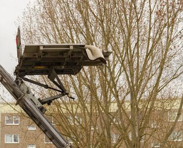 Möbellift in Bad Homburg: Möbellift zwischen kahlen Bäumen vor einem Gebäude