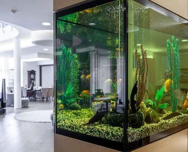 Aquarium-Umzug Bad Homburg: Großes Aquarium in einem modernen Wohnzimmer