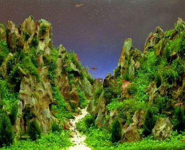 Aquarium-Umzug Bad Homburg: Aquarium mit Felslandschaft und Pflanzen
